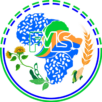 africafoodcomplex